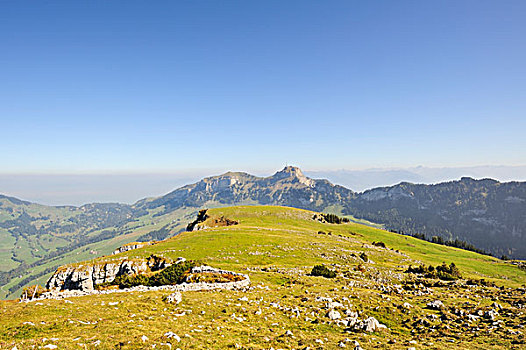 草场,悬崖,高,高原,高山,阿彭策尔,阿尔卑斯山,风景,山,瑞士,欧洲