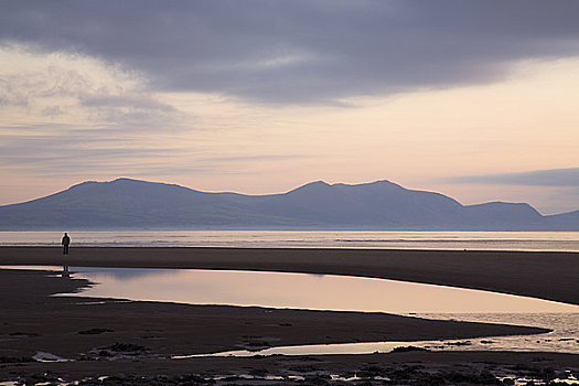 北威尔士,安格尔西岛,风景,孤单,男人,海滩