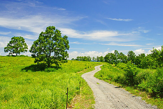 道路,地点