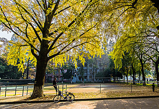 苏州苏州大学校园风光