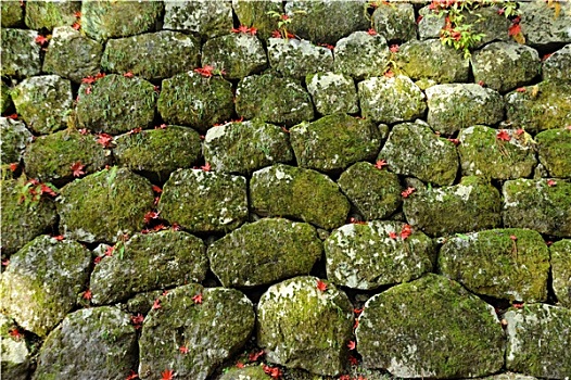 石墙,苔藓,质地
