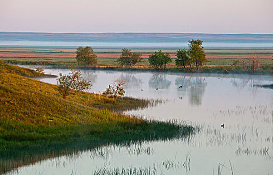 湿地,水塘,靠近,药湖,蒙大拿,美国