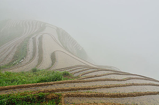 金坑梯田