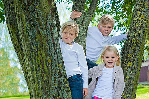 三个孩子,站立,树