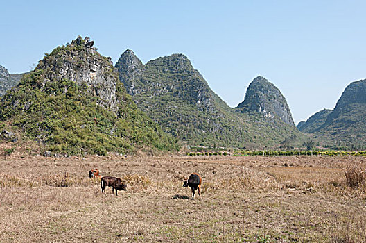 桂林喀斯特山景