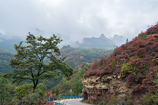 太行山秋日风光