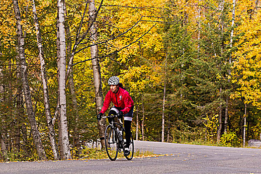 公路自行车赛,东方,湖岸,秋天,白鲑,蒙大拿,美国