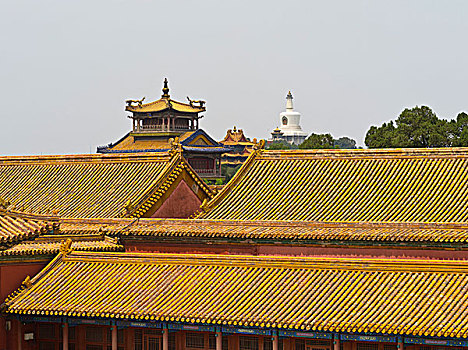 屋顶,故宫,北京,中国