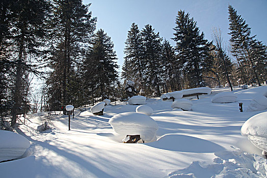 哈尔滨,雪乡,雪景,北方