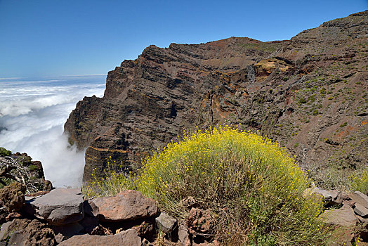 风景,火山口,国家公园,加纳利群岛,帕尔玛,西班牙,欧洲