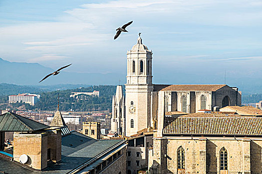 大教堂,赫罗纳,加泰罗尼亚,西班牙