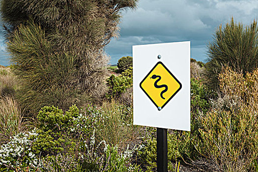 蛇,警告,路标,维多利亚,澳大利亚