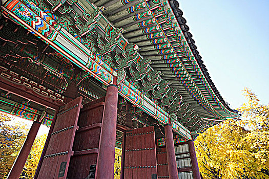 仰视,大门,德寿宫,首尔,韩国
