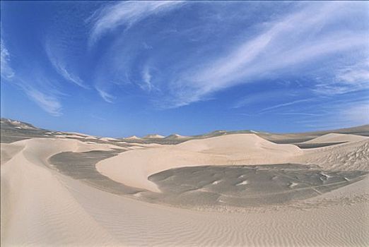 海岸,阿塔卡马沙漠,帕拉卡斯国家保护区,秘鲁