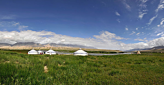 草原蒙古包,全景图