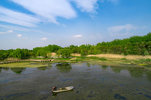 江苏省淮安市古淮河国家湿地公园