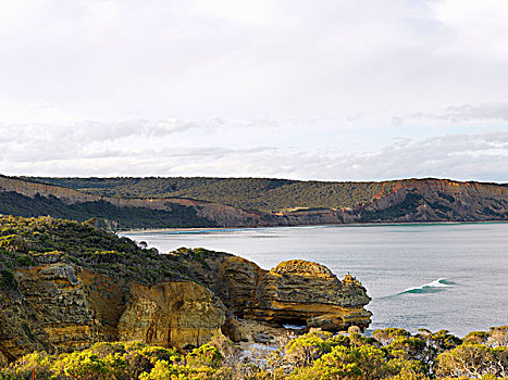 沿岸,风景,国家公园,澳大利亚