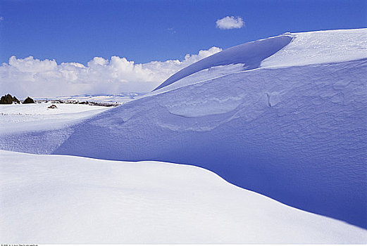 雪,冬天,爱达荷,美国