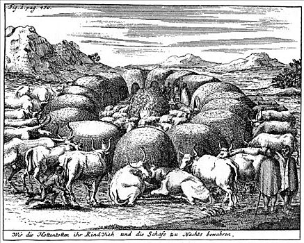 保护,绵羊,牛,夜晚,南非,18世纪