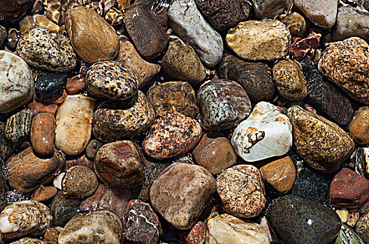 石头,海滩,库特尼,湖,靠近,湾,不列颠哥伦比亚省,加拿大