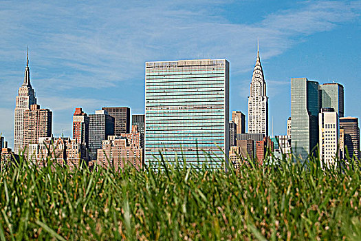 草,土地,曼哈顿,天际线,背景,纽约,美国