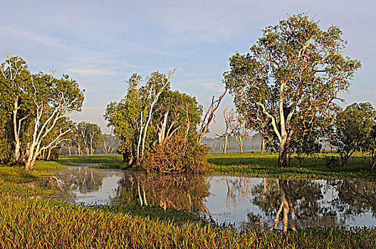 南,鳄鱼,河,卡卡杜国家公园,北领地州,澳大利亚