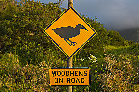 警告标识,途中,豪勋爵岛,新南威尔士,澳大利亚,大洋洲