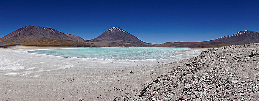 火山,泻湖,动物,波托西地区,玻利维亚,南美