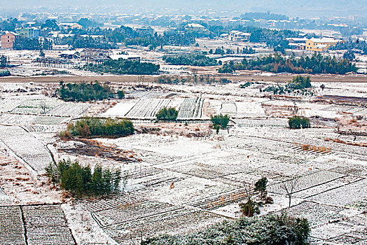 大地,田野