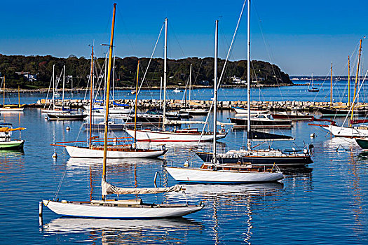 帆船,码头,葡萄园,马萨诸塞,美国
