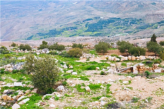 石头,陆地,巴勒斯坦