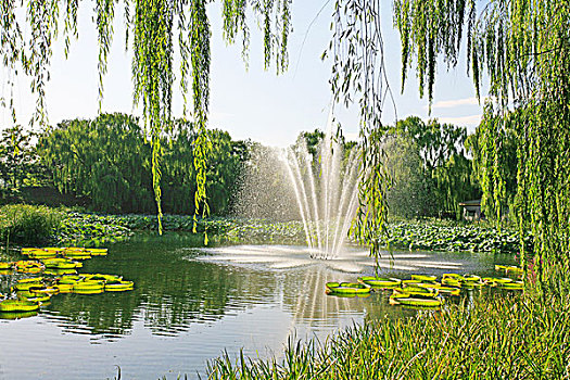 喷泉,湖,北京,圆明园