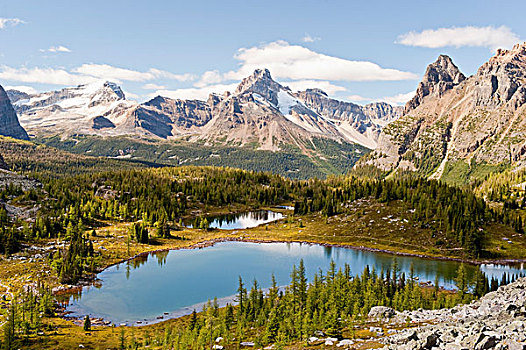 湖,区域,幽鹤国家公园,不列颠哥伦比亚省,加拿大