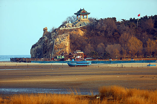 2023年3月25日,北戴河观鸟湿地剪影