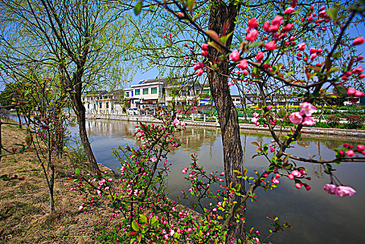大湖契河,春天,公园