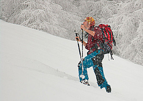 滑雪,登山,下雪,伦巴第,意大利,阿尔卑斯山