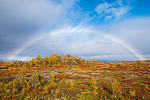 秋景,彩虹,拉普兰,瑞典,欧洲