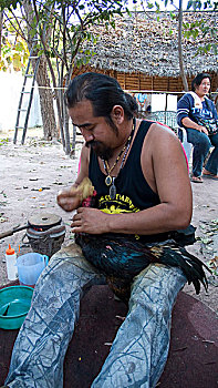 物主,争斗,公鸡,泰国,一月,2007年