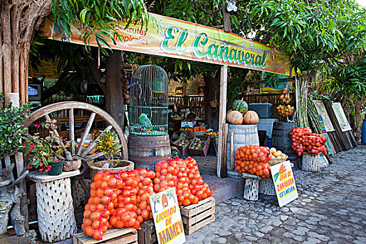 水果摊,市区,洛雷托,墨西哥