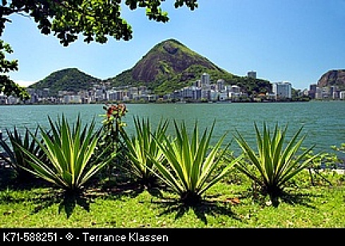 龙舌兰,泻湖,里约热内卢,巴西