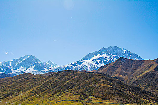 祁连山山麓亚洲最大的半野生鹿基地