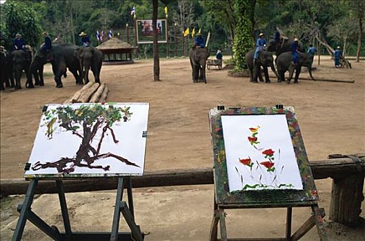 泰国,清迈,大象,艺术