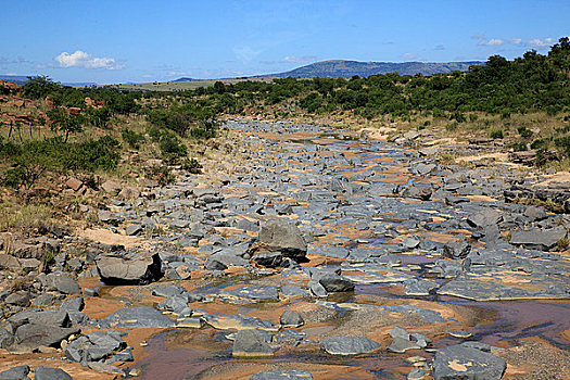 干燥,河床,靠近,南非