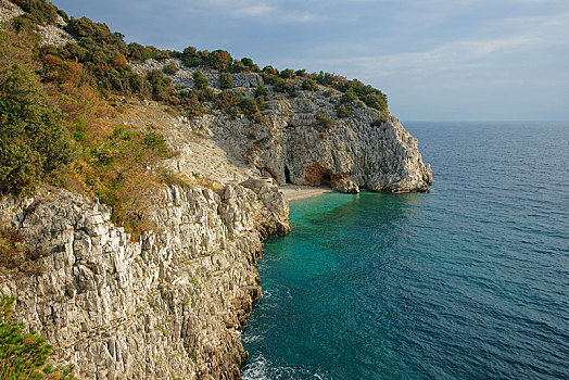 悬崖,小,海滩,海岸,克罗地亚,欧洲