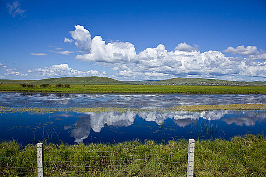 额尔古纳河,恩河,哈马尔河林地