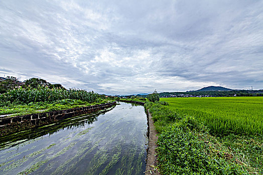 和顺古镇