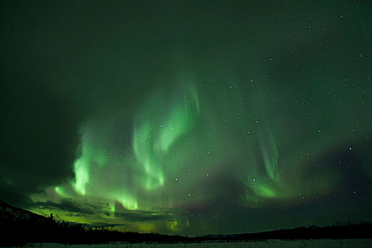 螺旋,北极光,极地,极光,绿色,靠近,育空地区,加拿大