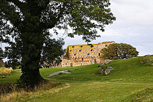 城堡,遗址,丹麦,欧洲