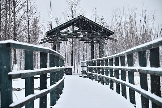 雪景