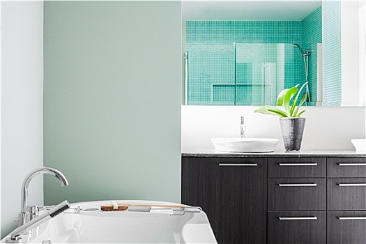 现代,浴室,软,绿色,淡色调,彩色